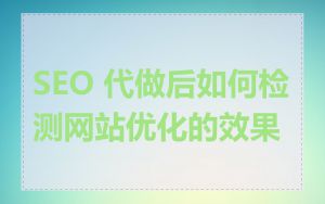 SEO 代做后如何检测网站优化的效果