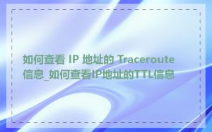 如何查看 IP 地址的 Traceroute 信息_如何查看IP地址的TTL信息