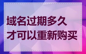 域名过期多久才可以重新购买