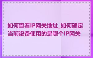 如何查看IP网关地址_如何确定当前设备使用的是哪个IP网关