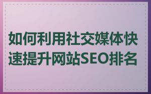 如何利用社交媒体快速提升网站SEO排名