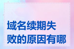 域名续期失败的原因有哪些