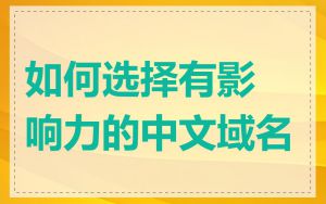 如何选择有影响力的中文域名