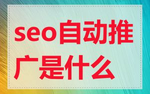 seo自动推广是什么