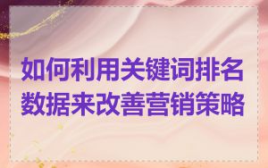 如何利用关键词排名数据来改善营销策略