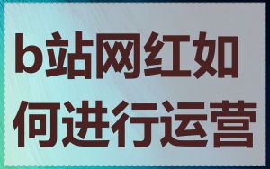 b站网红如何进行运营