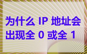 为什么 IP 地址会出现全 0 或全 1