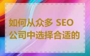 如何从众多 SEO 公司中选择合适的