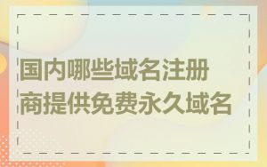 国内哪些域名注册商提供免费永久域名