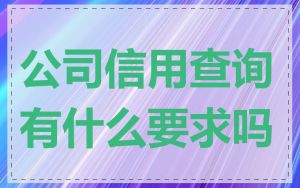 公司信用查询有什么要求吗