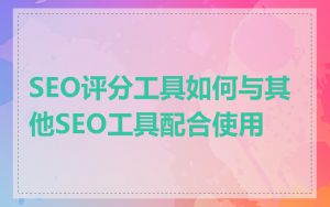SEO评分工具如何与其他SEO工具配合使用