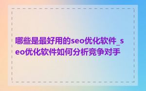 哪些是最好用的seo优化软件_seo优化软件如何分析竞争对手