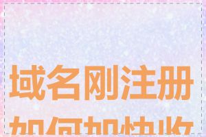 域名刚注册如何加快收录