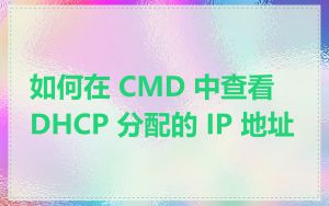 如何在 CMD 中查看 DHCP 分配的 IP 地址