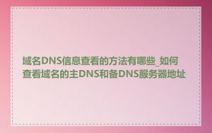 域名DNS信息查看的方法有哪些_如何查看域名的主DNS和备DNS服务器地址