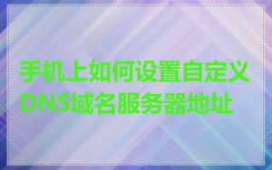 手机上如何设置自定义DNS域名服务器地址