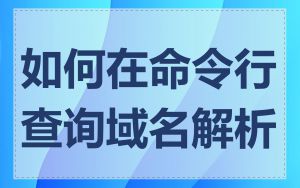 如何在命令行查询域名解析