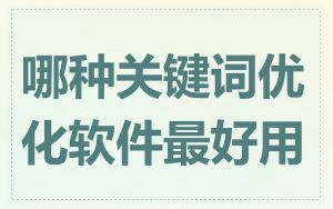哪种关键词优化软件最好用