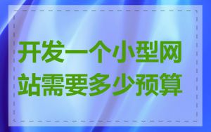 开发一个小型网站需要多少预算