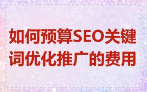 如何预算SEO关键词优化推广的费用