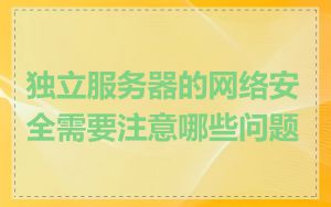 独立服务器的网络安全需要注意哪些问题