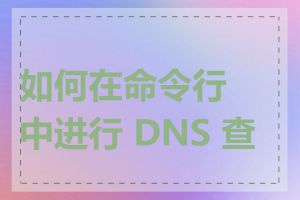 如何在命令行中进行 DNS 查询