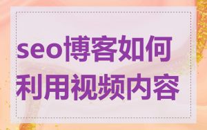 seo博客如何利用视频内容