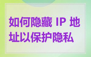 如何隐藏 IP 地址以保护隐私