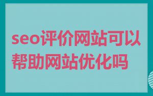 seo评价网站可以帮助网站优化吗