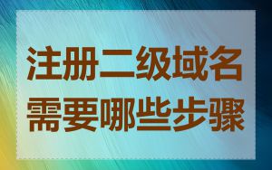 注册二级域名需要哪些步骤