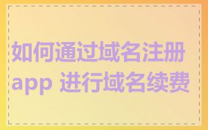 如何通过域名注册 app 进行域名续费