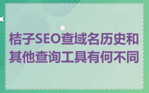 桔子SEO查域名历史和其他查询工具有何不同