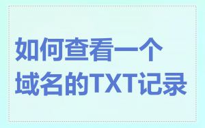 如何查看一个域名的TXT记录