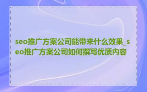 seo推广方案公司能带来什么效果_seo推广方案公司如何撰写优质内容