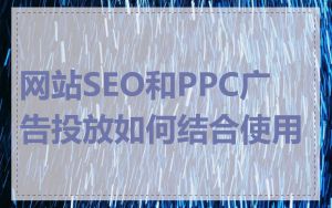 网站SEO和PPC广告投放如何结合使用