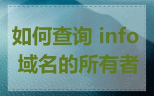 如何查询 info 域名的所有者