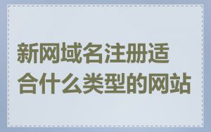 新网域名注册适合什么类型的网站