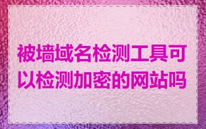被墙域名检测工具可以检测加密的网站吗