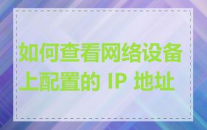 如何查看网络设备上配置的 IP 地址