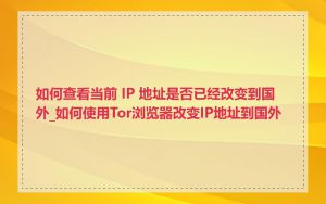如何查看当前 IP 地址是否已经改变到国外_如何使用Tor浏览器改变IP地址到国外