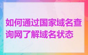 如何通过国家域名查询网了解域名状态