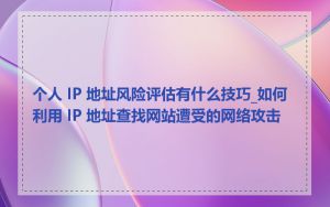 个人 IP 地址风险评估有什么技巧_如何利用 IP 地址查找网站遭受的网络攻击