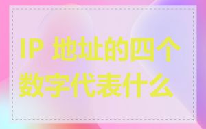 IP 地址的四个数字代表什么