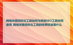 网络关键词优化工具如何与其他SEO工具协同使用_网络关键词优化工具的收费标准是什么