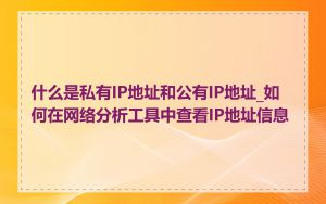 什么是私有IP地址和公有IP地址_如何在网络分析工具中查看IP地址信息