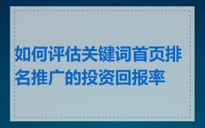 如何评估关键词首页排名推广的投资回报率