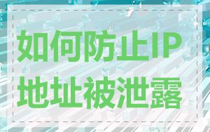 如何防止IP地址被泄露