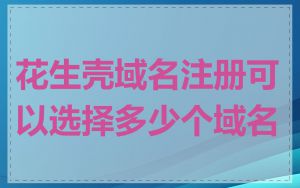 花生壳域名注册可以选择多少个域名