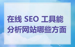 在线 SEO 工具能分析网站哪些方面