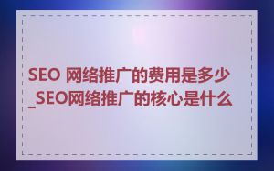 SEO 网络推广的费用是多少_SEO网络推广的核心是什么